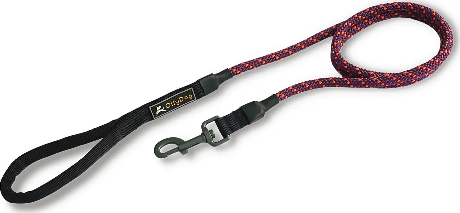 OllyDog Mountain Leash Wild Aster