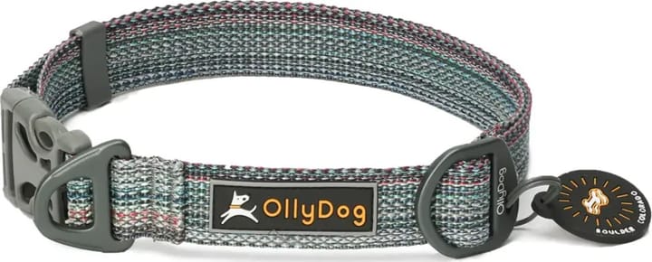 OllyDog Rescue Collar Prism Grey OllyDog