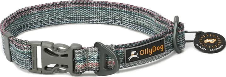 OllyDog Rescue Collar Prism Grey OllyDog