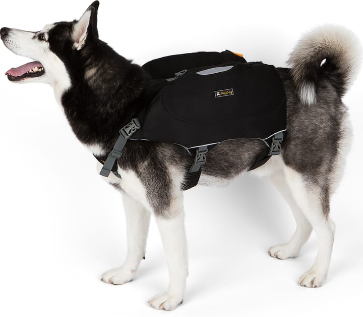 Dog pack clearance harness