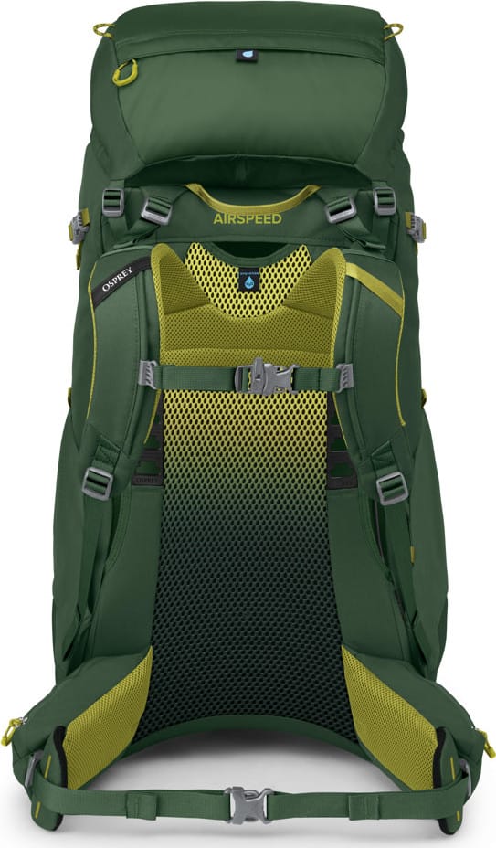 Osprey Kids' Ace 50 Green Canopy/Matcha Green Osprey