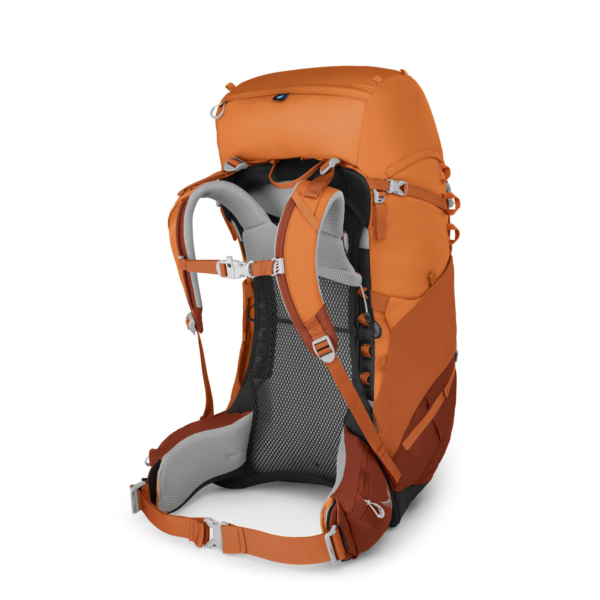 Osprey ace 50l best sale