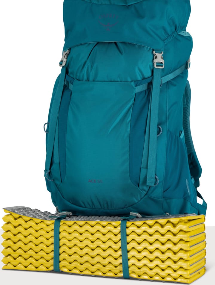 Osprey Kids' Ace 65 Blue Spikemoss/Deep Peyto Osprey