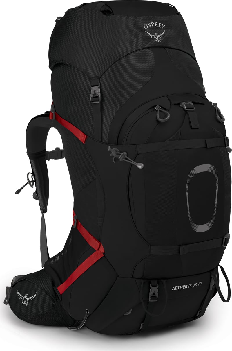 Osprey detachable backpack best sale