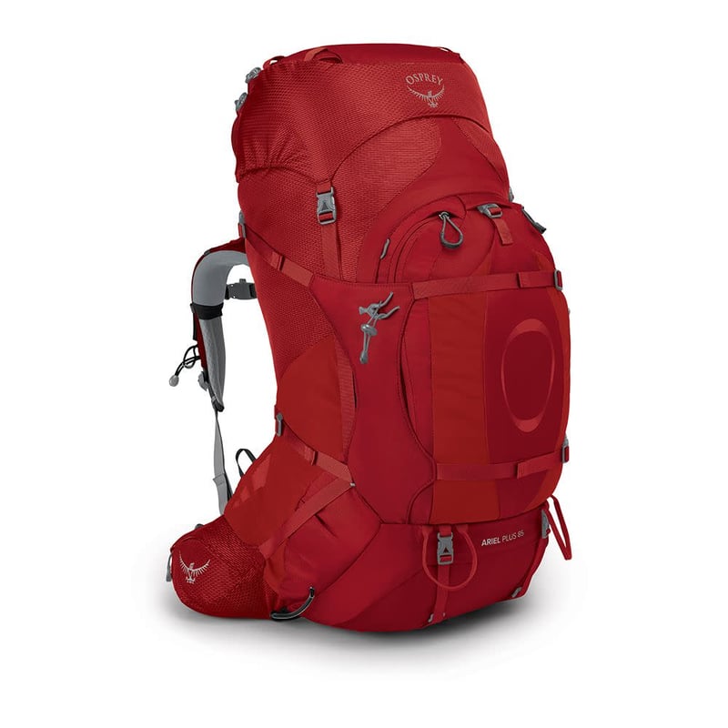 Osprey discount daylid daypack