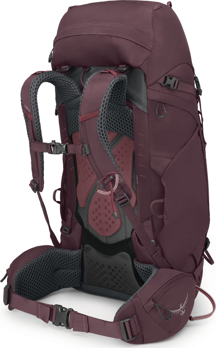 Osprey Women's Kyte 48 Elderberry Purple Osprey