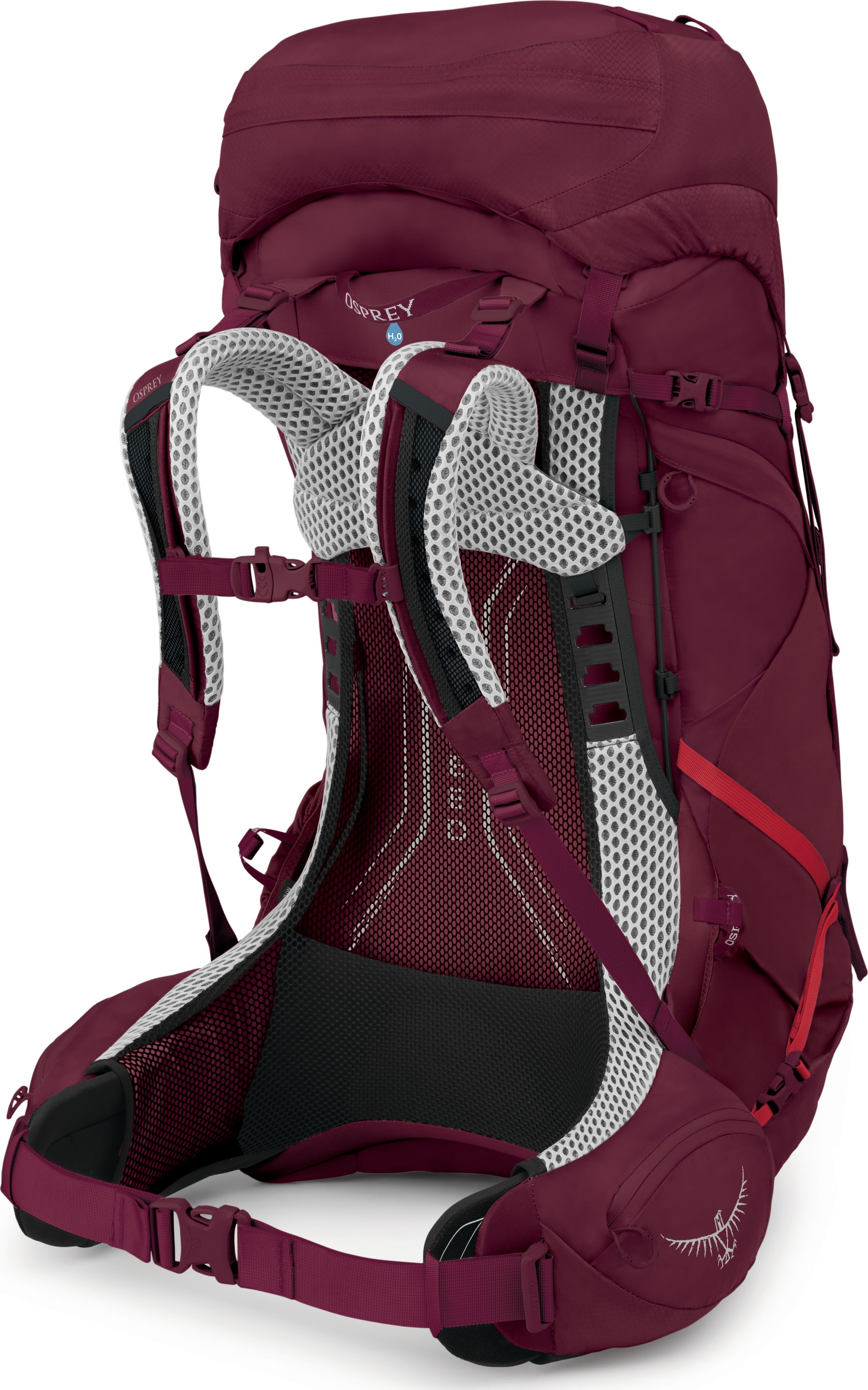 Osprey viva 50 online