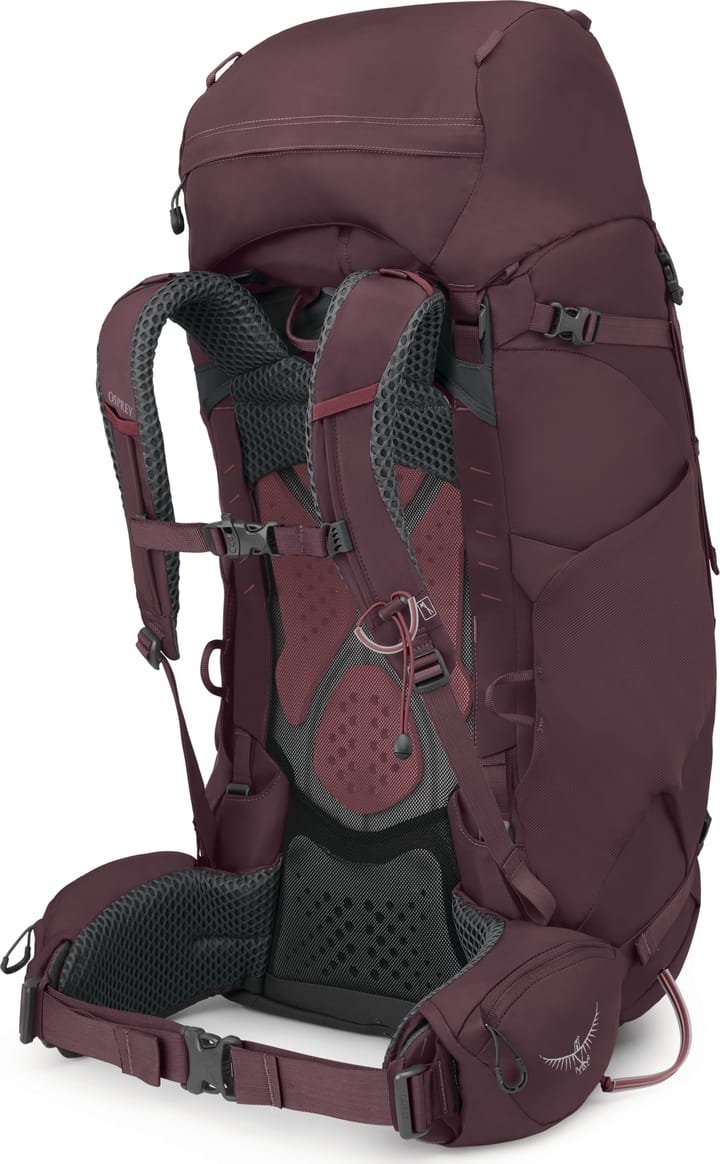 Osprey Women's Kyte 68 Elderberry Purple Osprey