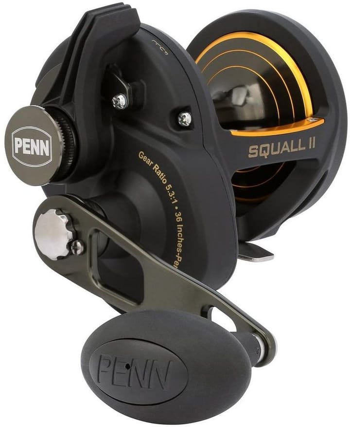 Penn Squall II Lever Drag Reel Penn