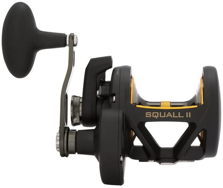 Penn Penn Squall Ii Lever Drag Reel Penn