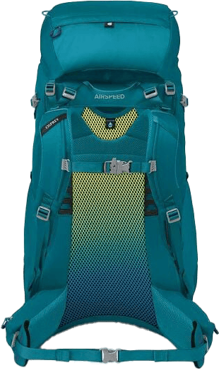 Osprey Kids' Ace 50 Blue Spikemoss/Deep Peyto Osprey