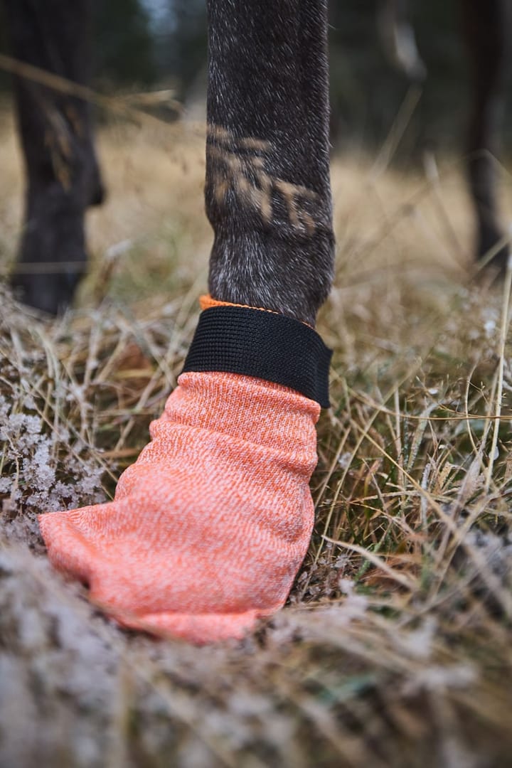 Non-stop Dogwear Protector Light Socks Orange Non-stop Dogwear