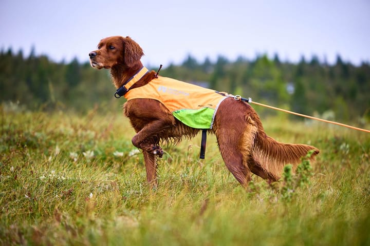 Non-stop Dogwear Protector Round Long Line 10m Orange Non-stop Dogwear