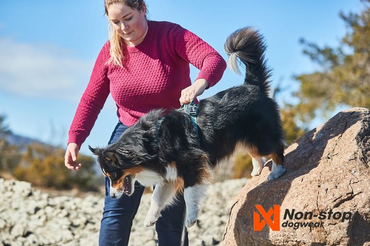 Non-stop Dogwear Ramble Harness Orange Non-stop Dogwear