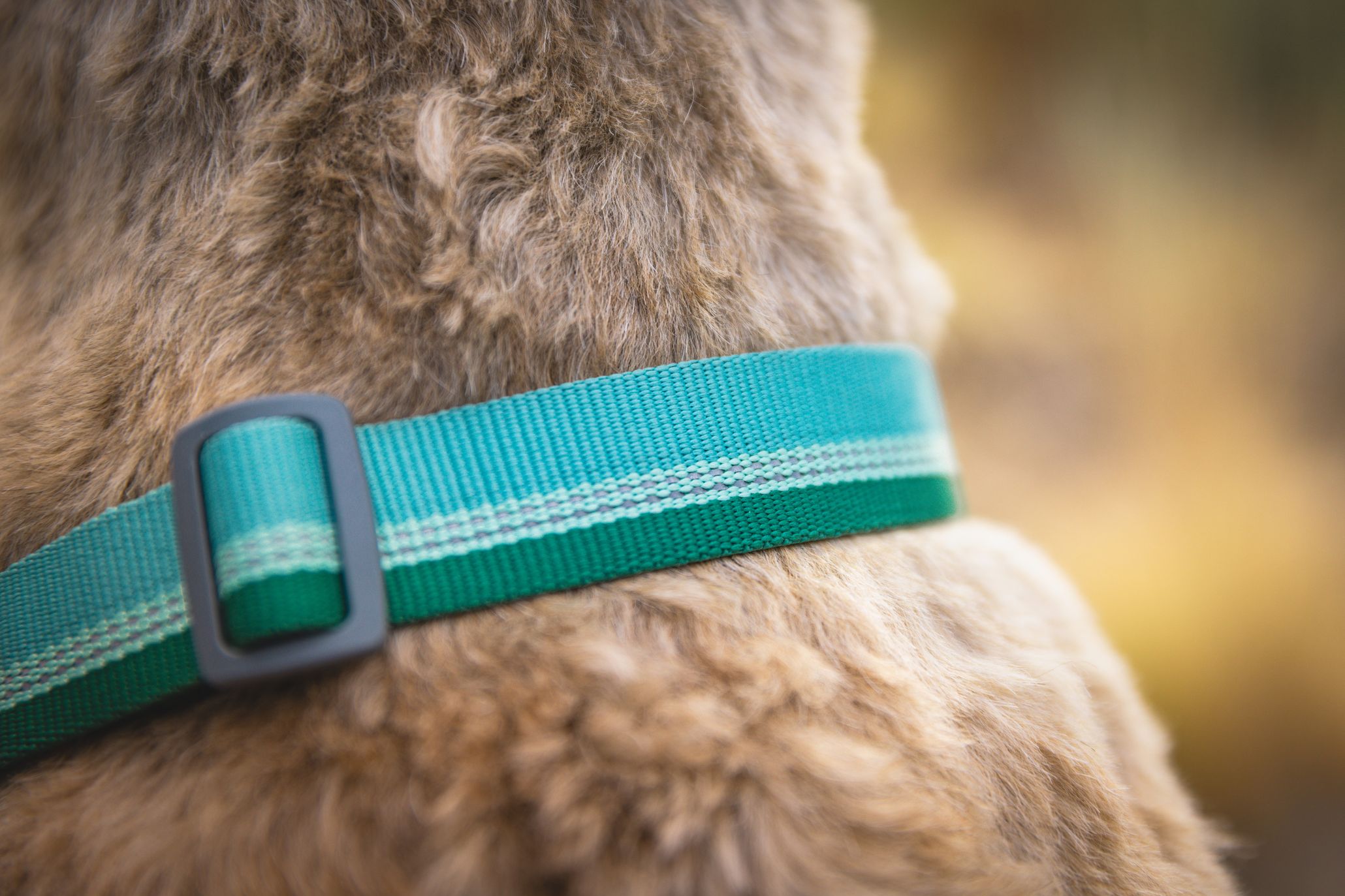 Ruffwear chain reaction outlet collar