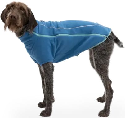 Climate Changer Dog Fleece Blue Jay Buy Climate Changer Dog