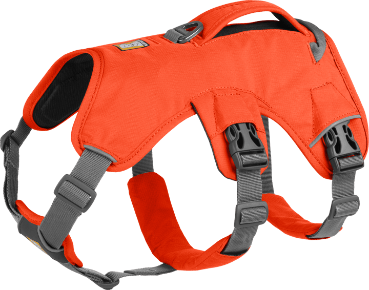 Blaze orange 2025 dog harness