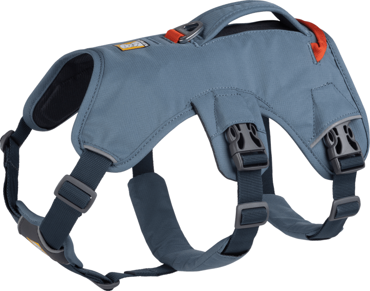 Ruffwear Web Master Harness Slate Blue Buy Ruffwear Web Master