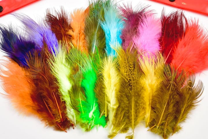 Frodin Flies Frödin Pheasant Rump Feather Pack 20 Farger, 100 Fjær Frodin Flies