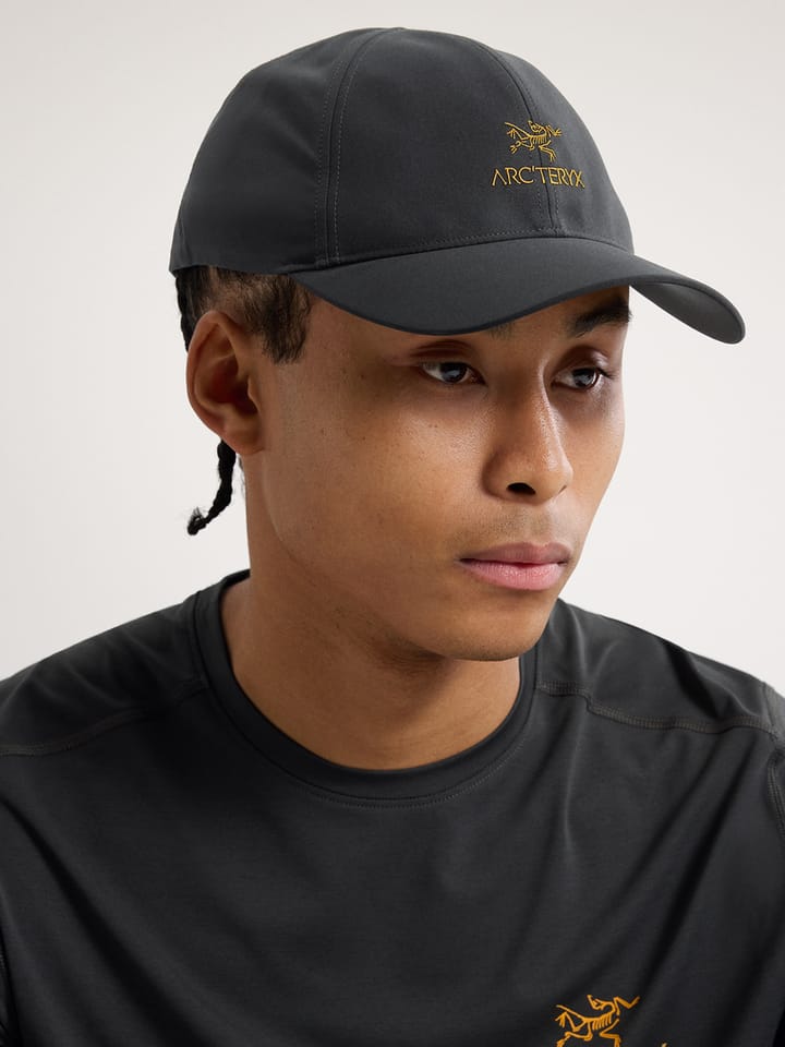 Arc'teryx Bird Word Cap 24k Black Arc'teryx