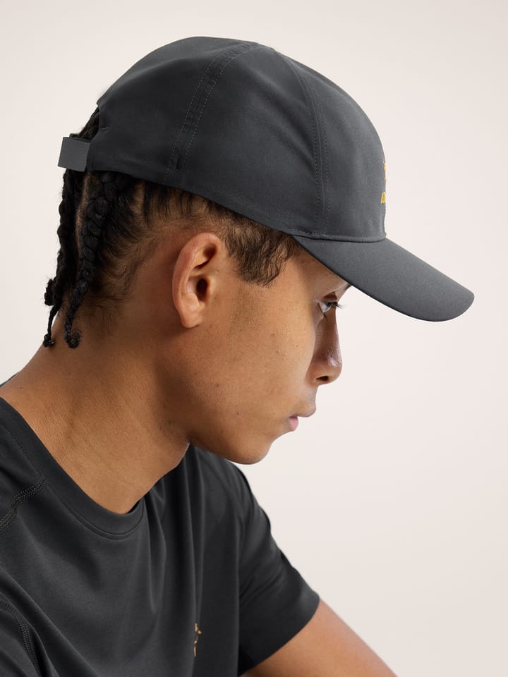 Arc'teryx Bird Word Cap 24k Black Arc'teryx