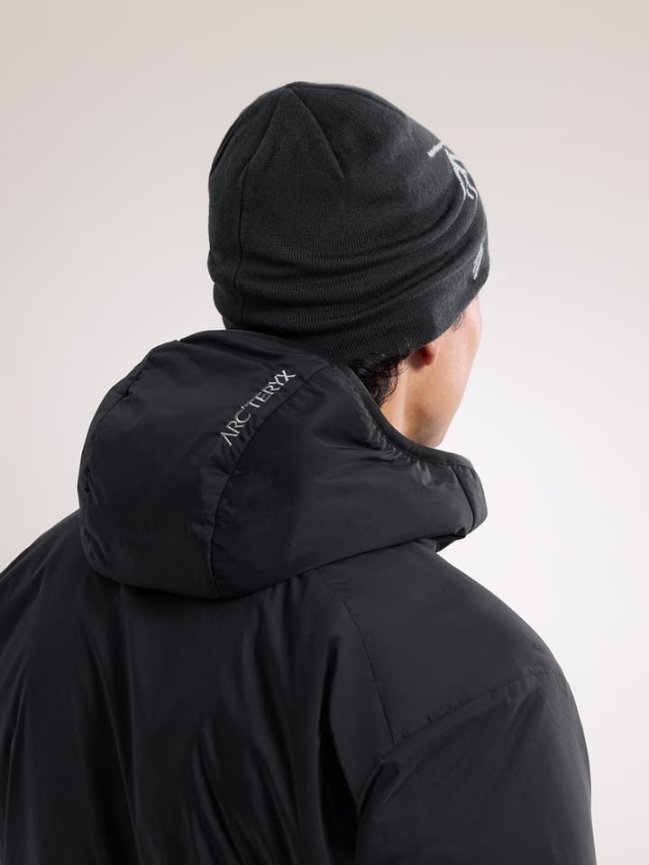 Arc'teryx Lightweight Bird Head Toque Black / Void Arc'teryx