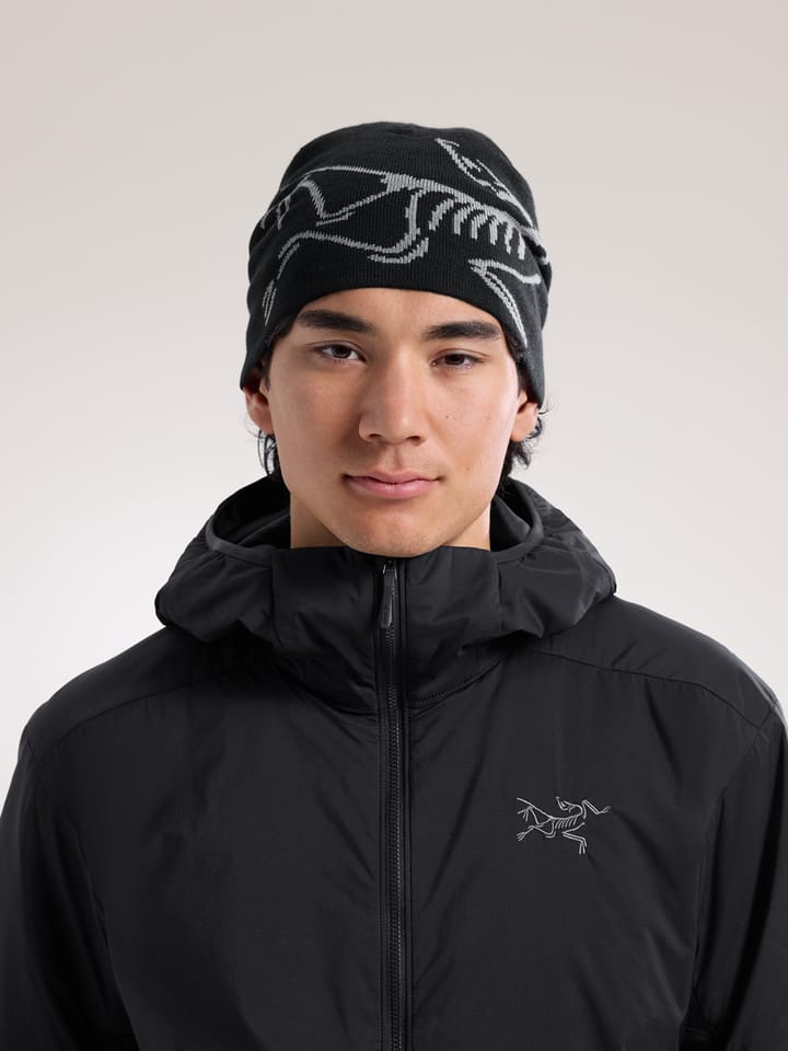 Arc'teryx Lightweight Bird Head Toque Black / Void Arc'teryx