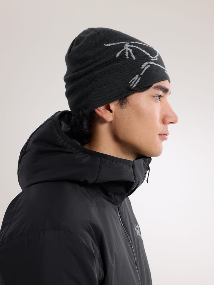 Arc'teryx Lightweight Bird Head Toque Black / Void Arc'teryx