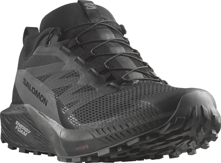 Salomon Men's Sense Ride 5 GORE-TEX Black/Magnet/Black Salomon