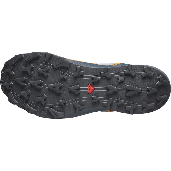 Salomon Men's Thundercross GORE-TEX Flint Stone/Carbon/Orange Pepper Salomon