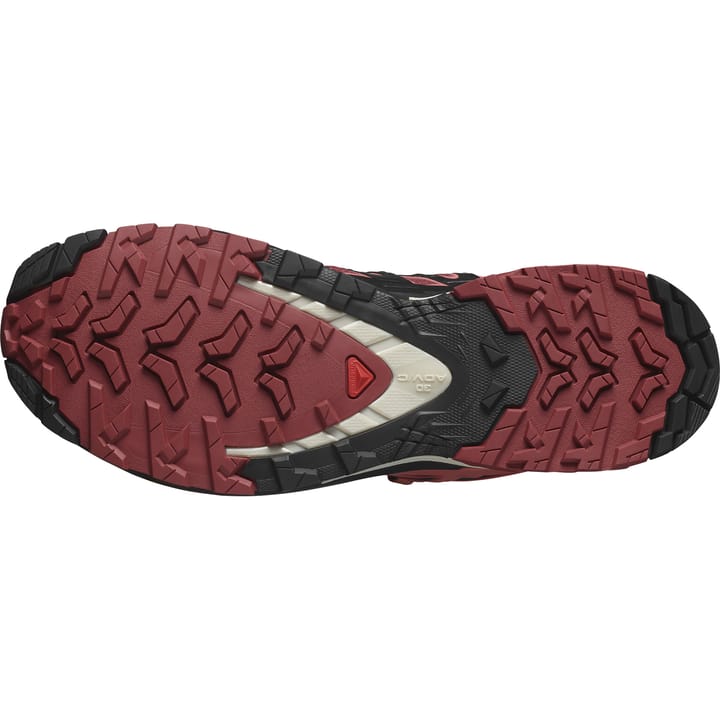 Salomon Women's XA Pro 3D V9 GORE-TEX Cow Hide/Black/Faded Rose Salomon