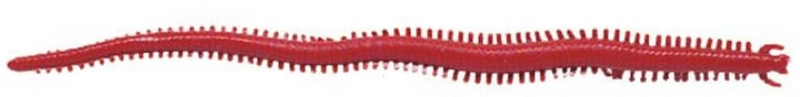 Berkley Berkley Saltwater Sandworm Bloody Berkley