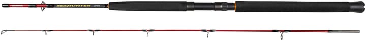 Daiwa Daiwa Seahunter Spin Daiwa