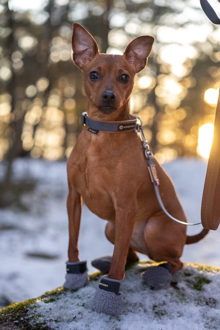 Seleverkstedet Seleverkstedet Fleece grey dog boot 4pk Grå/svart Seleverkstedet