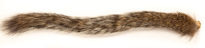 The Fly Co Squirrel Tail - Natural Grey Wapsi The Fly Co