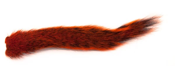 The Fly Co Squirrel Tail - Orange Wapsi The Fly Co