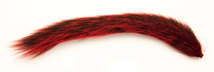 The Fly Co Squirrel Tail - Red Wapsi The Fly Co