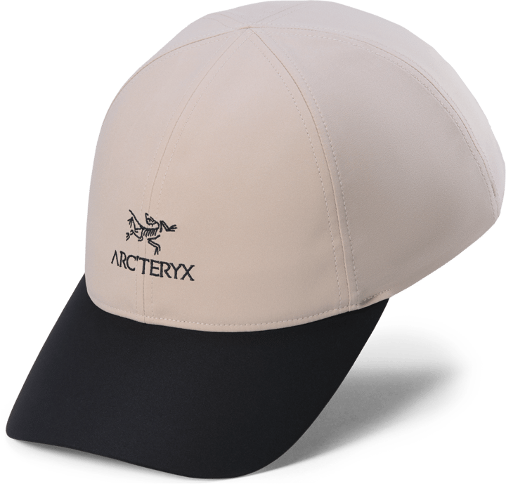 Arc'teryx Bird Word Cap Rune / Black Arc'teryx