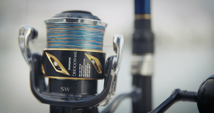 Shimano Shimano Stella Sw C Shimano