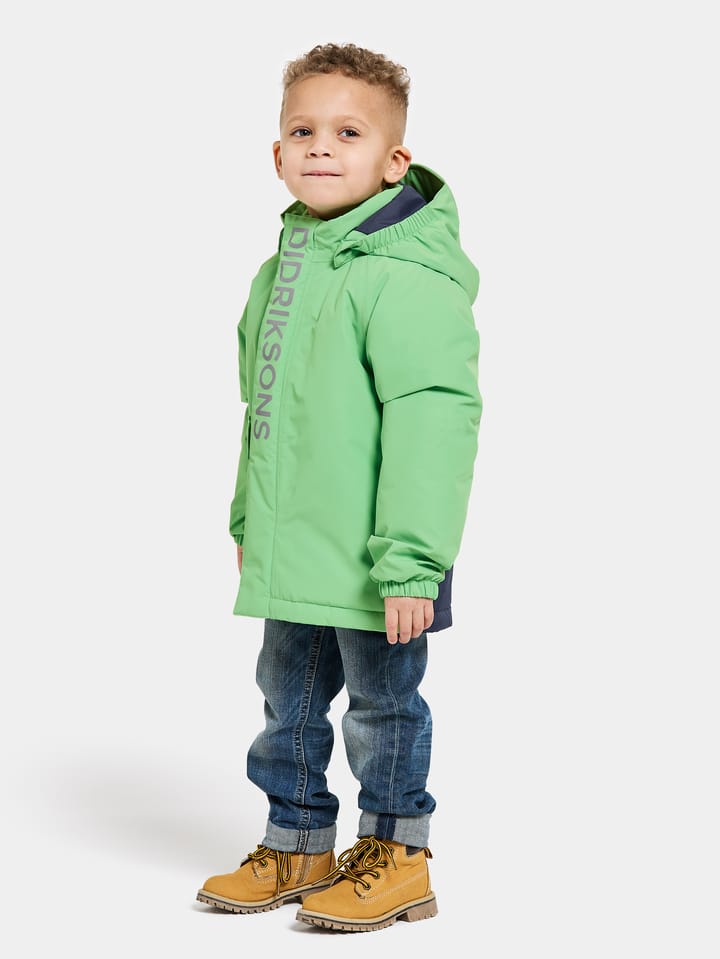 Didriksons Kids' Talvi Jacket Dusty Lime Didriksons