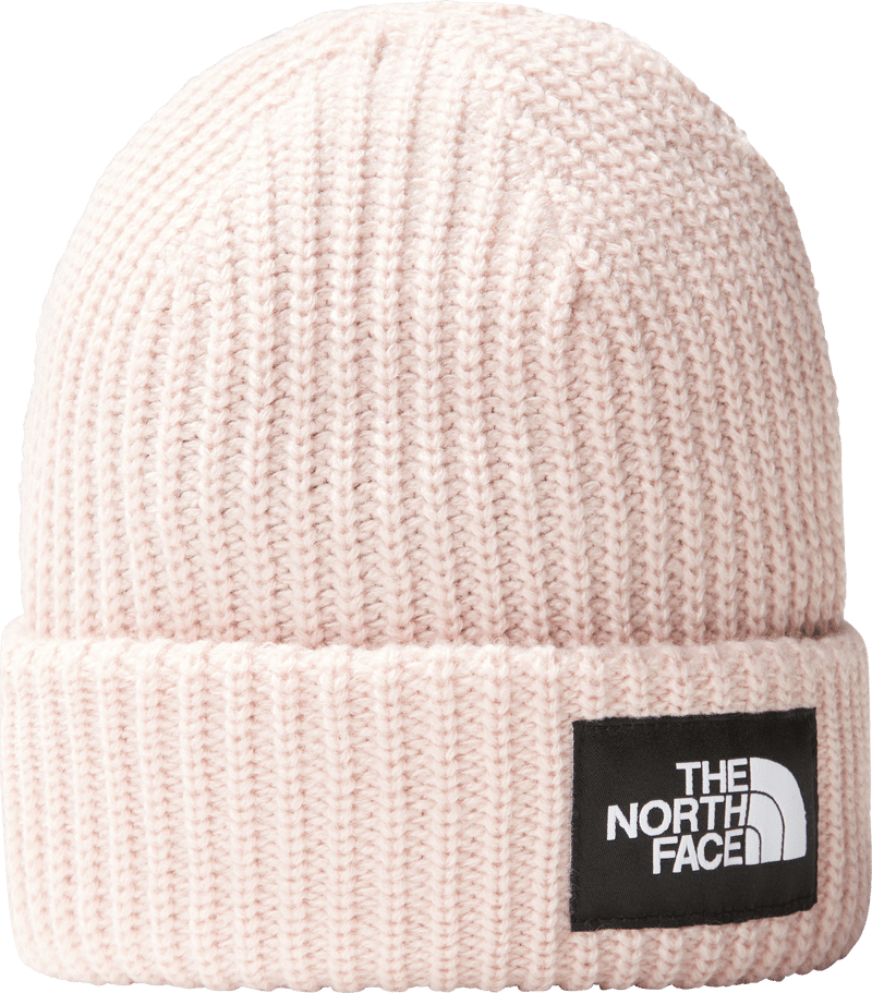 North face best sale pink beanie