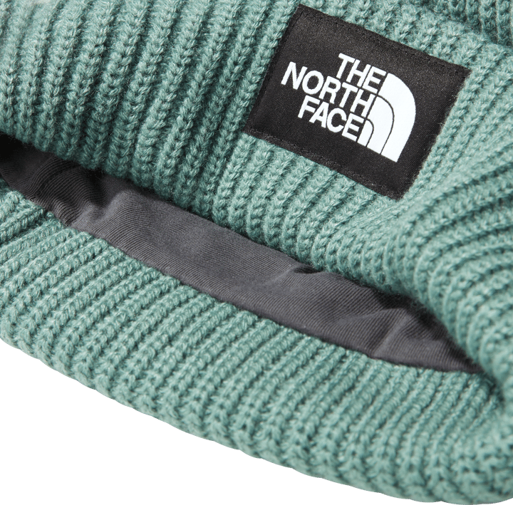 The North Face Salty Dog Lined Beanie Dark Sage The North Face