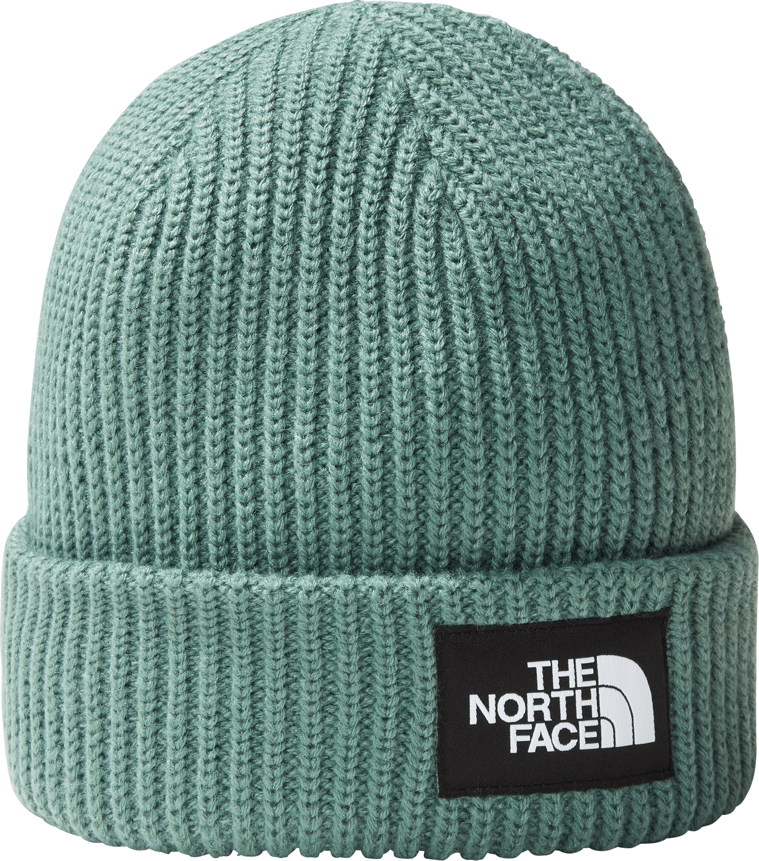 The North Face Salty Dog Lined Beanie Dark Sage