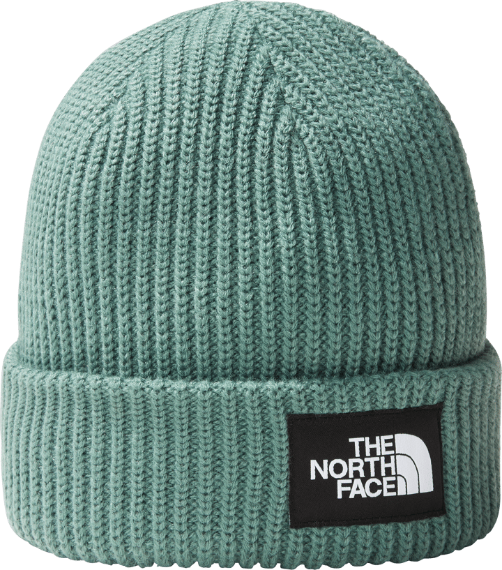 The North Face Salty Dog Lined Beanie Dark Sage The North Face