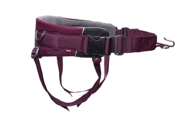 Non-stop Dogwear Trekking Belt 2.0 Size S Purple Non-stop Dogwear