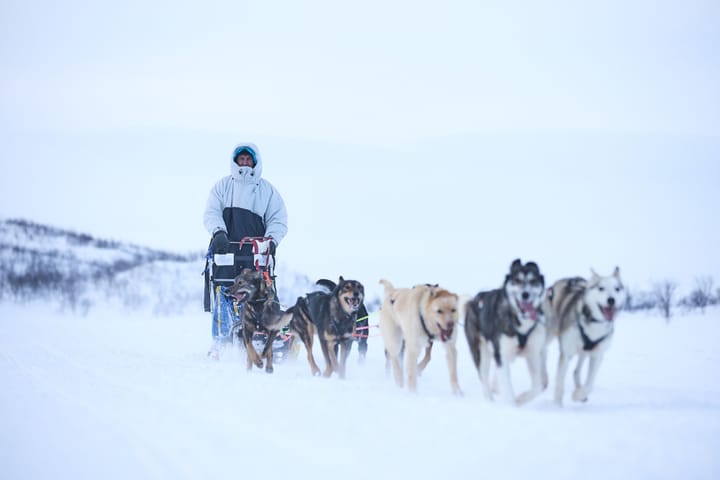 Non-stoppolar Anojakka Tundra 2.0 Black Non-stop Polar