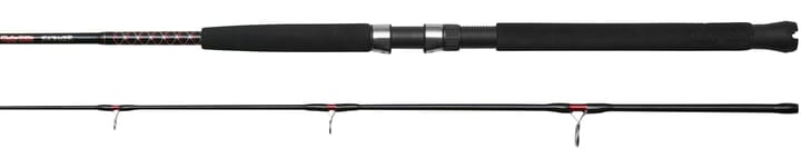 Ugly Stik Ugly Stik Bigwater Boat Rod Ugly Stik