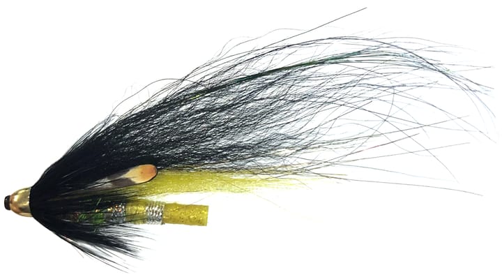 Umpqua Flies Jock Rainbow Umpqua Flies