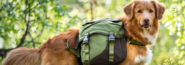 Seleverkstedet Togo hundekløv Grønn/brun M Seleverkstedet