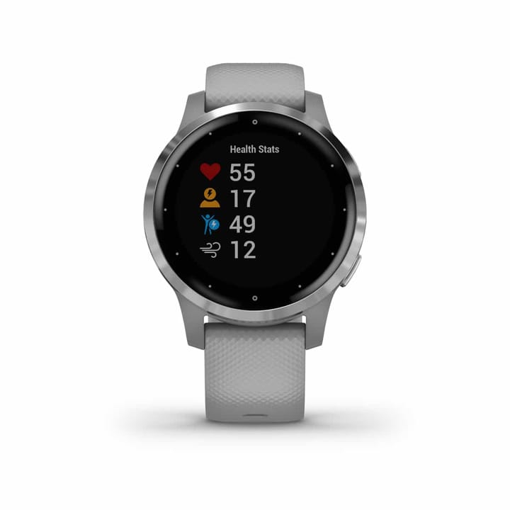 Garmin Vivoactive 4s Grey/Silver Garmin